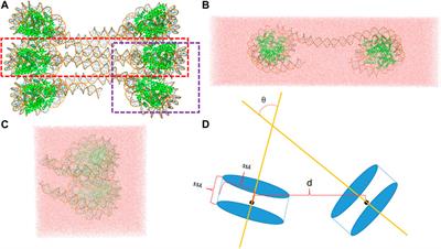 Interactions Between Nucleosomes: From Atomistic Simulation to Polymer Model